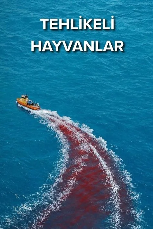 Tehlikeli Hayvanlar